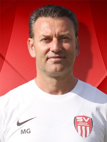 Mehmet Güldal