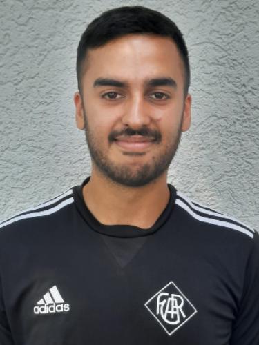 Ramin Mosamam