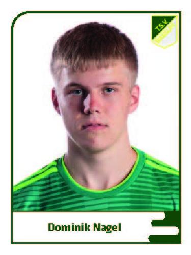 Dominik Nagel