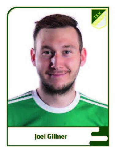 Joel-Maxim Gillner