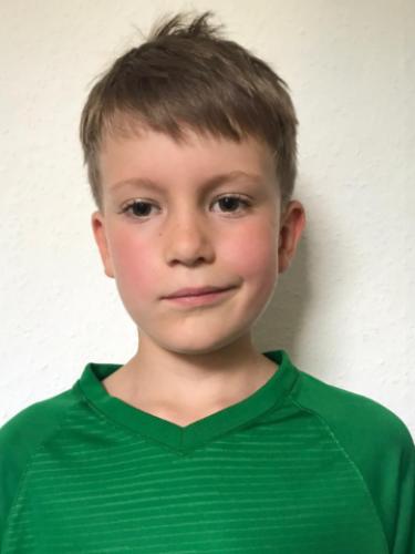 Roman Hornbogen