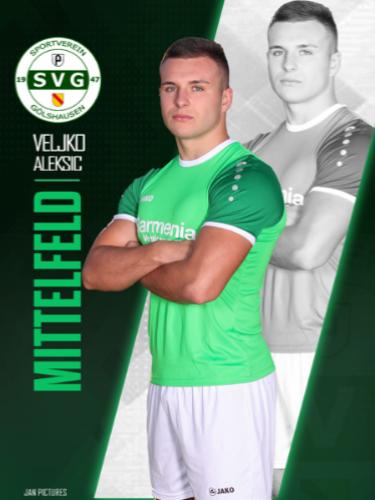 Veljko Aleksic