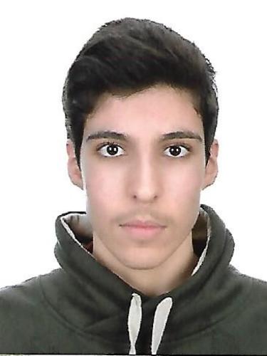 Ahmed Hakan Demirtas