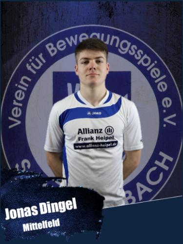Jonas Dingel