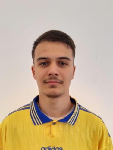 Vlad Luta
