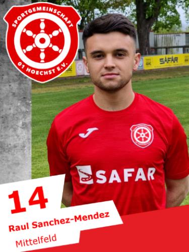 Raul Marvin Sanchez-Mendez