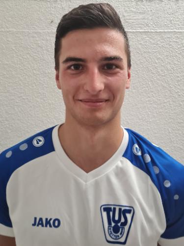 Tarik Vidjen