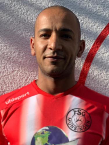 Mahmoud Abdellah Mohamed Ziedan
