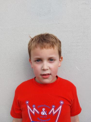 Karl Johannes Heinze