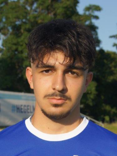 Mehdi Özpolat