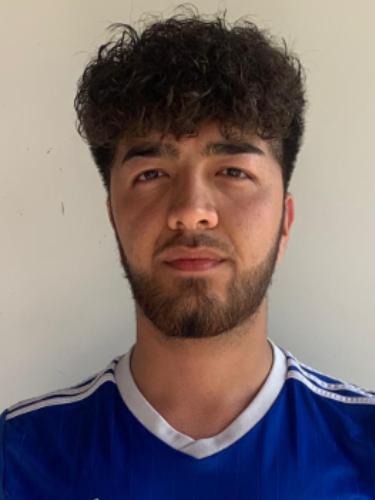 Mohammad Abedini