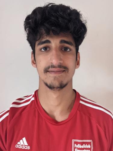 Mohamed El-Hajj Hassan