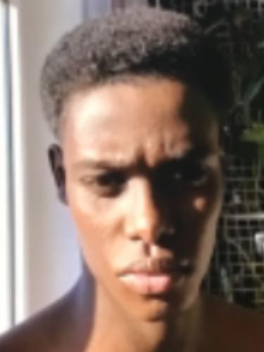 Ayman Salah Hassan Mohamed Fadleimola