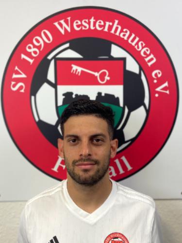 Marcelo Henrique Franceschi