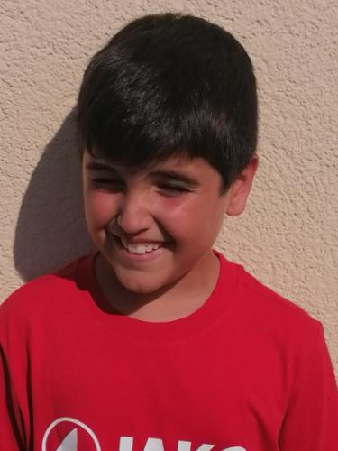 Robin Ibis