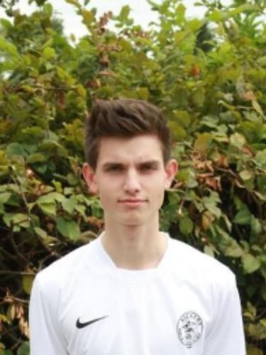 Lewin Strauß