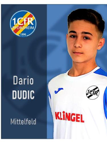 Dario Dudic