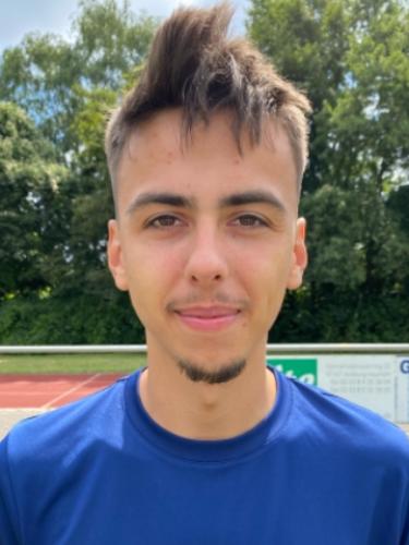 Arnes Alihodzic
