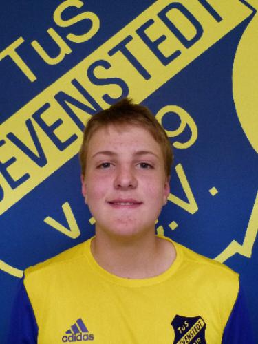 Henner Mathis Vogler
