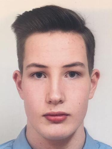 Christopher Robin Vis