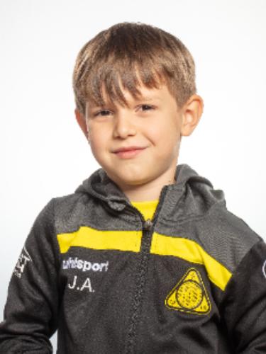 Johannes Felix Arend