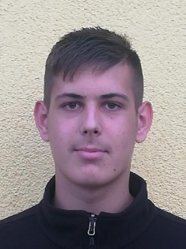 Niklas Rehfeldt