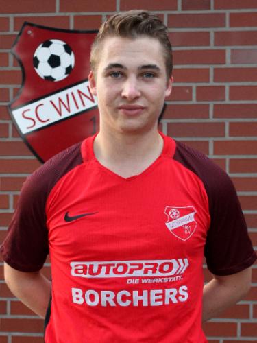Dominik Schwarz
