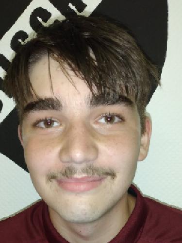 Nico Werth