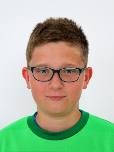 Aaron Raphael Stehle