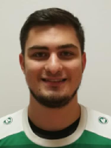 Tarik Wolf