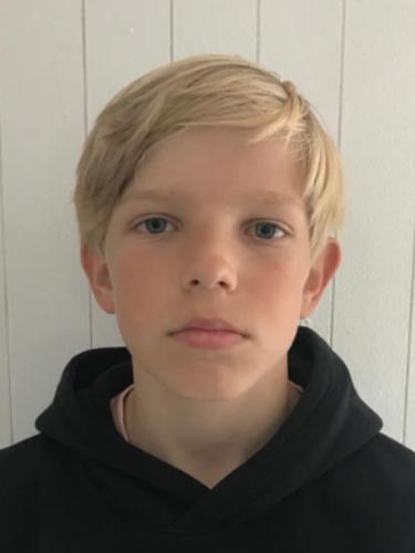 Bosse Heinrich Buchner