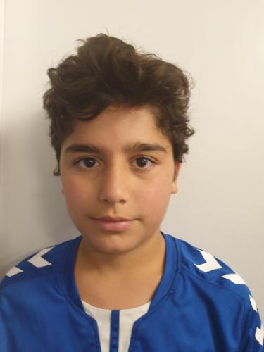 Mohamed Tawfik Merrawi