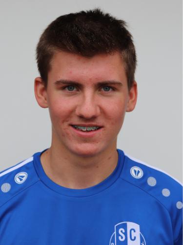 David Potulski
