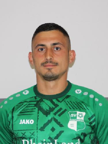 Dino Dzelic