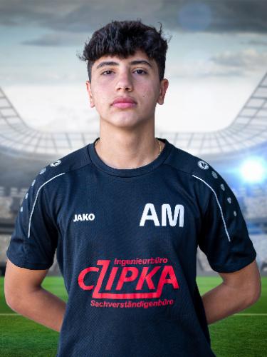 Albion Mecini