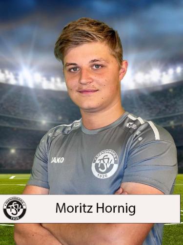 Moritz Hornig