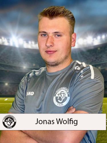 Jonas Wolfig