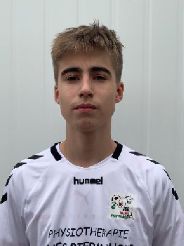 Bennett Levin Homann