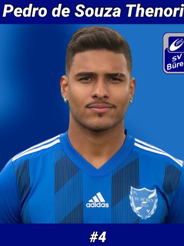 Pedro Henrique de Souza Thenorio