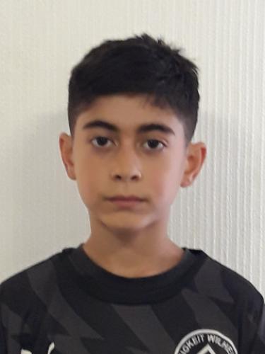 Nerdzad Noel Alimanovic