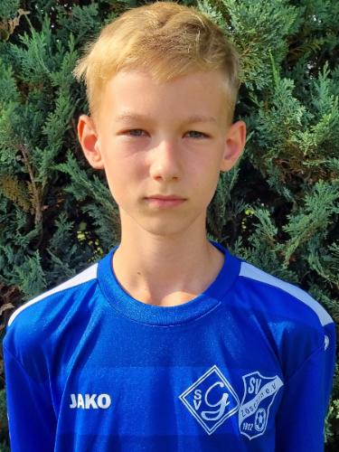 Domenic Tobias Leipelt