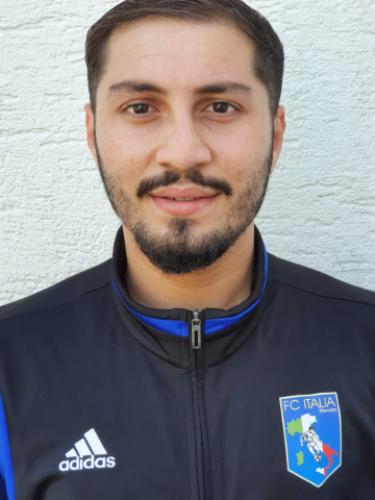 Vasile Stoica