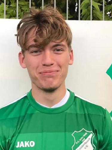 Luis Enrique Del Valle Alonso