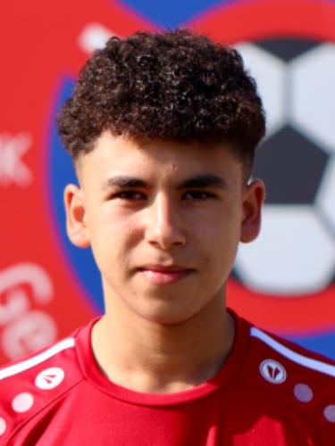 Mohamed Rida Arab