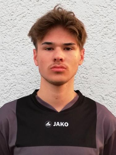 Dario Rotim