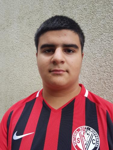 Davit Amoyan