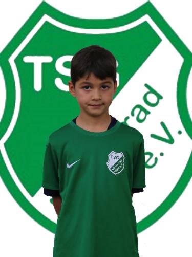 Yusha Hamid Emdadi