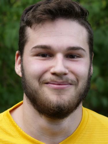 Dan Tudor