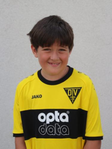 Leo Dohmen