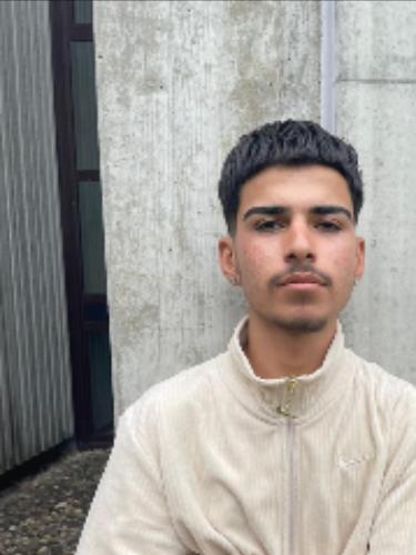 Qasim Alo